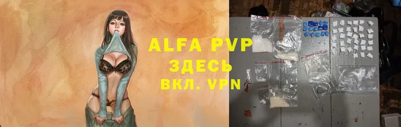 где купить   Зубцов  Alfa_PVP СК КРИС 